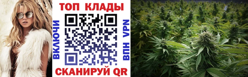Купить наркотики Нолинск Канабис Кокаин MDMA Мефедрон ГАШ APVP АМФ