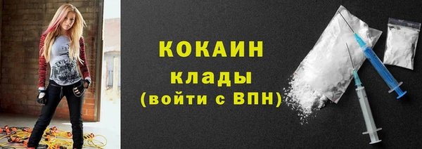 ПСИЛОЦИБИНОВЫЕ ГРИБЫ Арсеньев