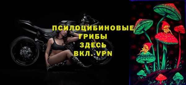 ПСИЛОЦИБИНОВЫЕ ГРИБЫ Арсеньев