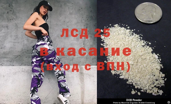 ПСИЛОЦИБИНОВЫЕ ГРИБЫ Арсеньев