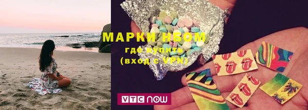 ПСИЛОЦИБИНОВЫЕ ГРИБЫ Арсеньев