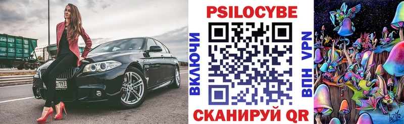 Псилоцибиновые грибы Cubensis  Нолинск 