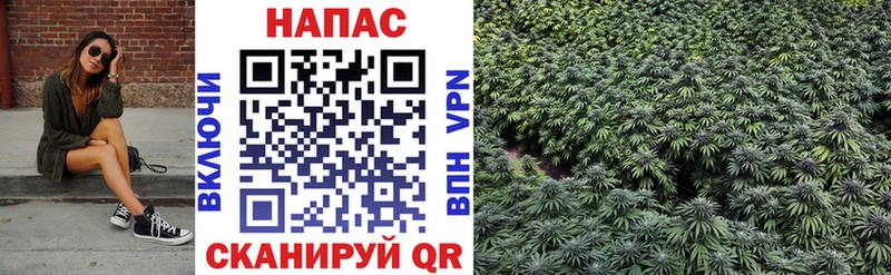 Бошки марихуана тримм Нолинск